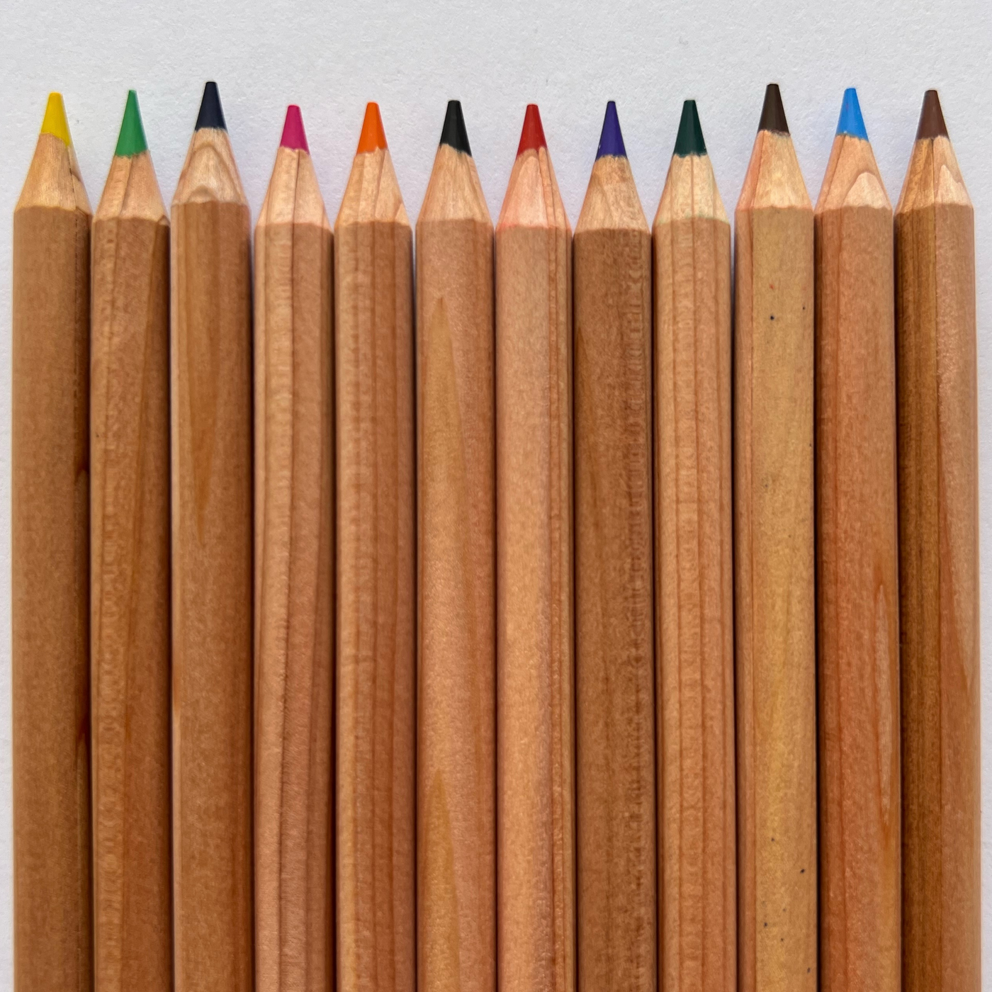 Unlacquered Colored Pencils Case/144 – Wisdom Supply Co.